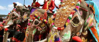 боевые слоны в Индии