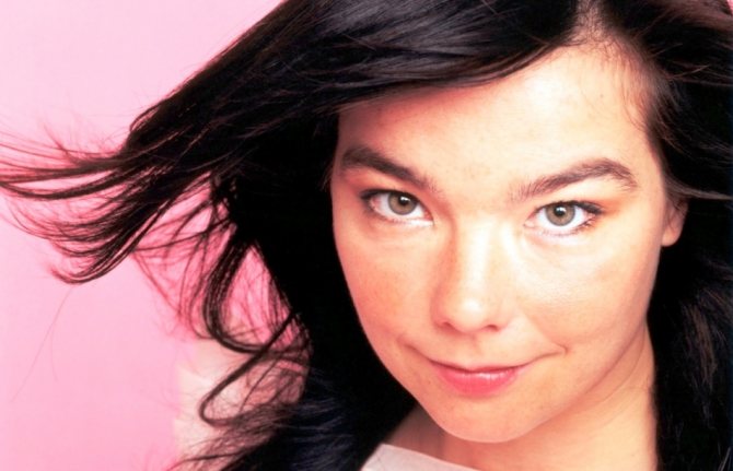 Bjork is the most famous performer of songs in the Icelandic language