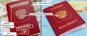 На какой паспорт менять лучше биометрический или старого образца