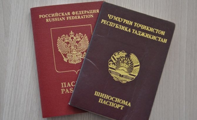 Отказные от гражданства таджикистана стат гражданин россии