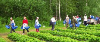 Work in Finland for Russians vacancies 2019 without knowledge of the language