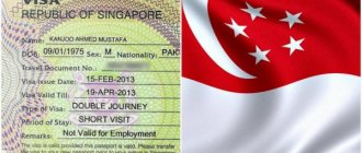 Сингапурская виза