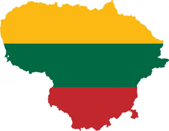 Способы получения ВНЖ в Литве