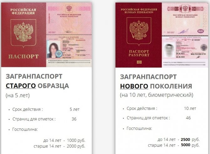 Заграничный паспорт нового образца - отличия от старого загранпаспорта